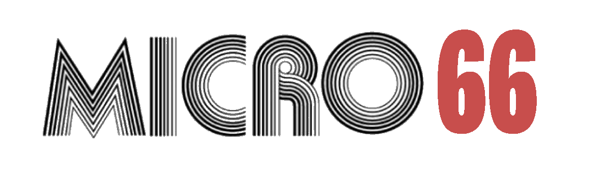 MICRO66_Logo
